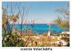 scorcio VelaClubPa